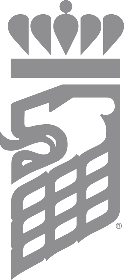 Old Dominion Monarchs 1982-2002 Secondary Logo diy iron on heat transfer